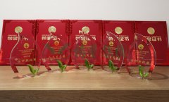 “新宝gg杯”浙江省节地生态安葬设计作品奖