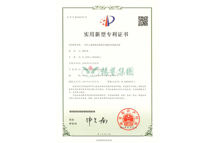 实用新型专利：一种在古墓葬墓室斜撑木纠偏中