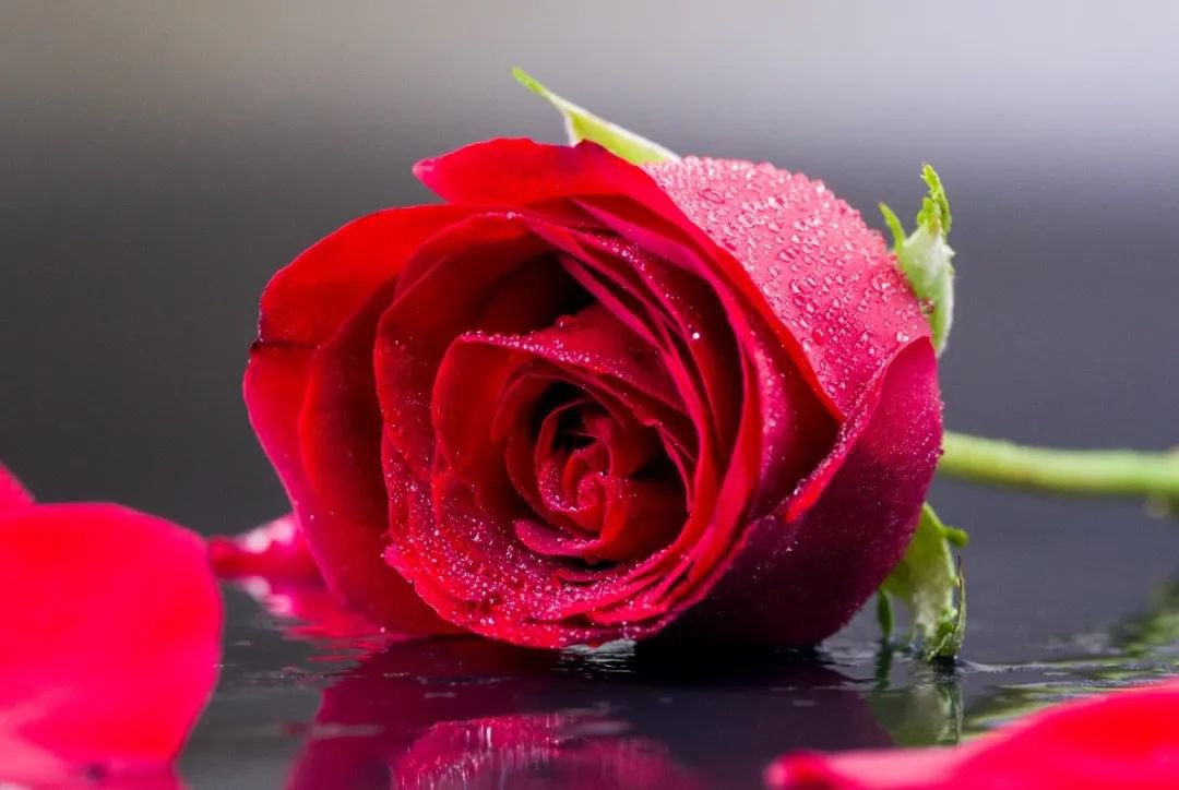 女神节 | 致敬“她”力量，共筑美好未来