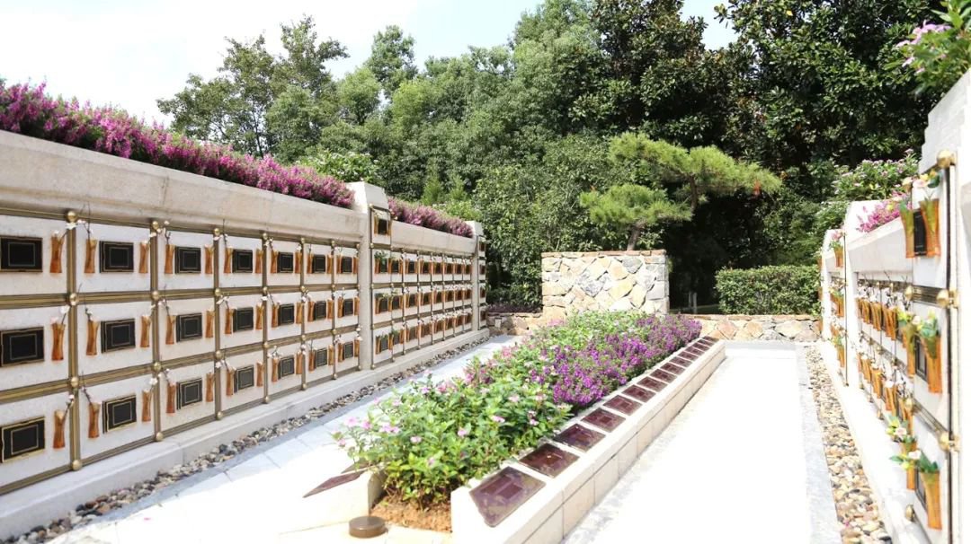 <b>在合肥大蜀山文化陵园，与生命温柔对话</b>