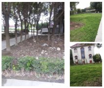 老墓园改造：城市中的绿色记忆与文化传承