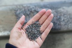 石语新章：仿真保护箱中的生态启示录