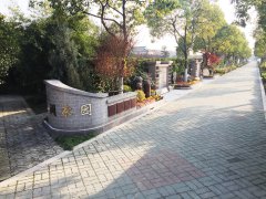 城市最后一平米：生态葬，是与自然的和解？还是无奈的选择？