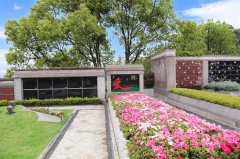 归于自然，泽被后世：解读现代生态葬及其创新趋势