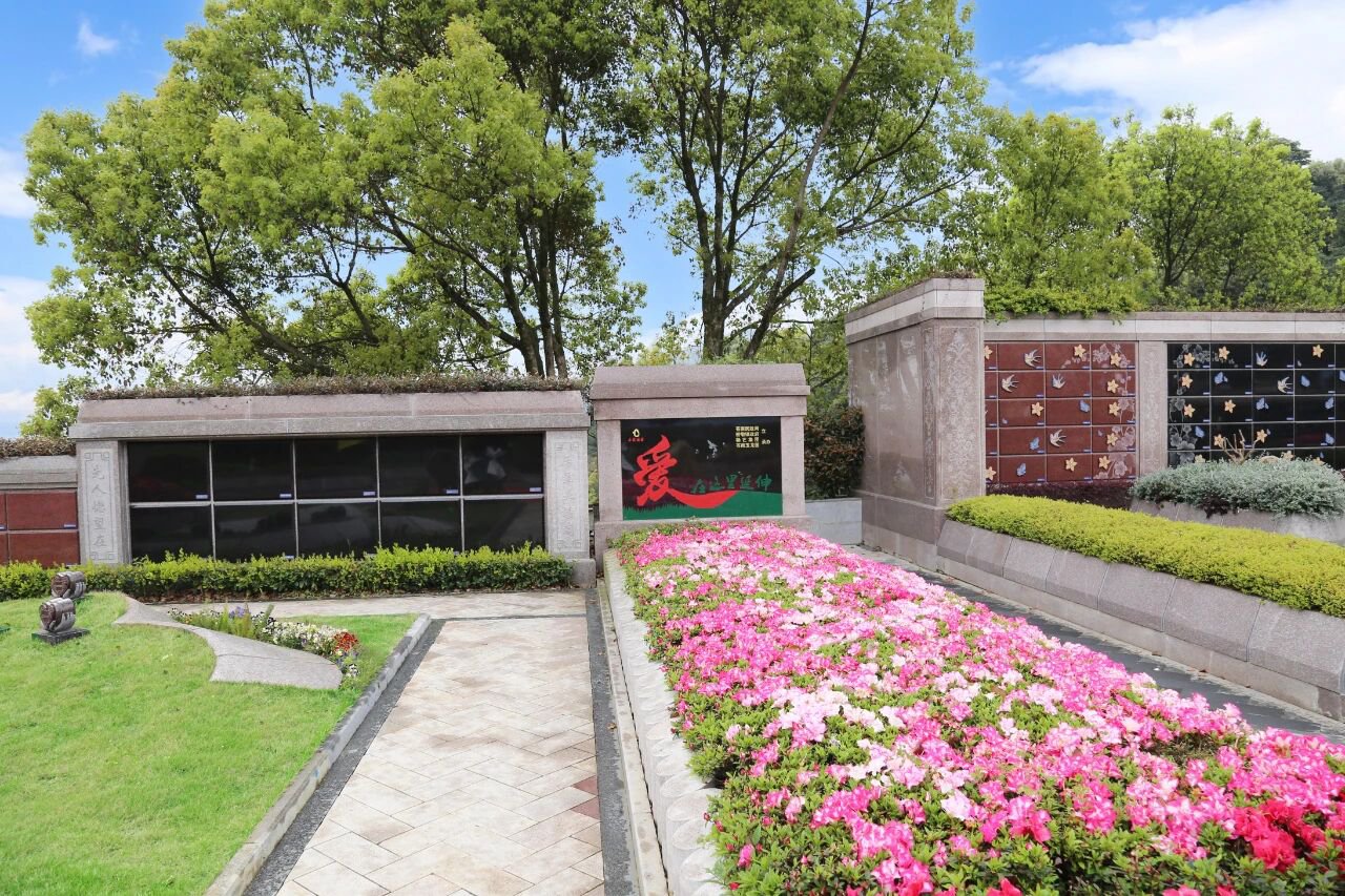 当纪念，开始生长